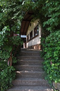 Maifest des Musikvereins 2018